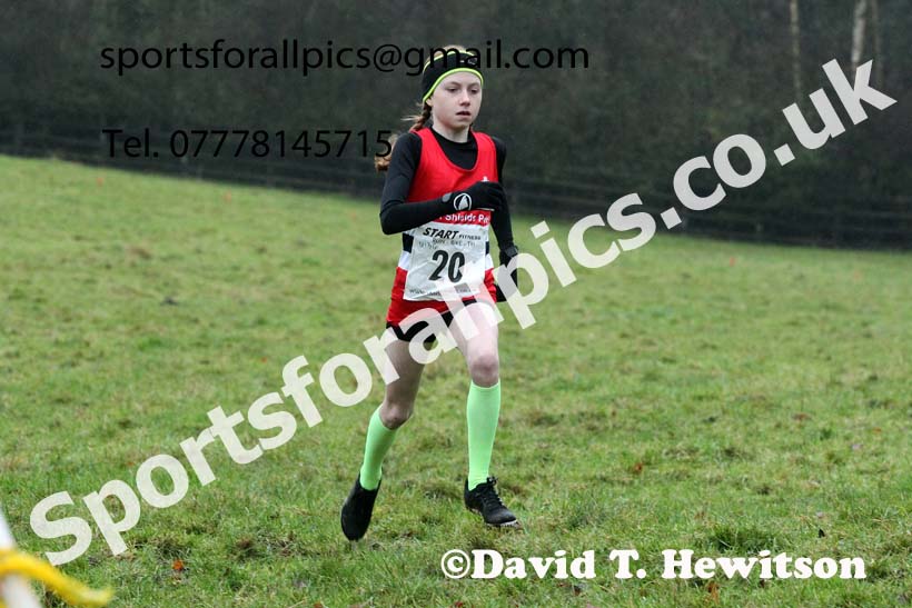 Girls under-13s, NECAA Junior Cross Country Relays, Thornley Farm, Peterlee, Saturday, December 12th. Photo: David T. Hewitson/Sports for All Pics